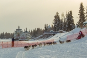 Benjamin Harper 2015 Iditarod