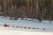 Jan Steves on the 2015 Iditarod Trail