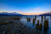 Little Pillars at Low Tide Old Valdez