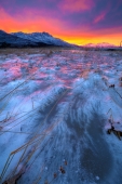 Sunset Behind Icy Flats