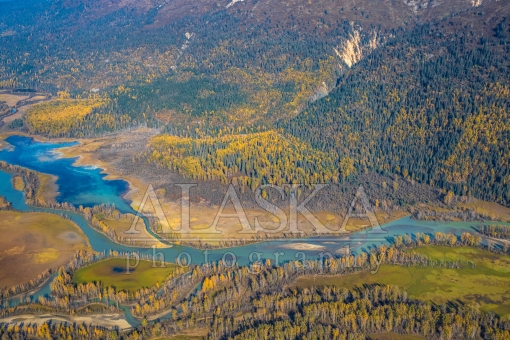 Autumn Up Over the Chilkat