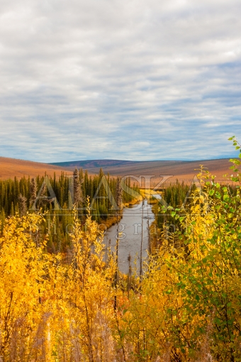 Nome Creek by Steese Highway