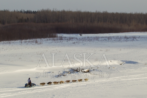 Timothy Hunt 2015 Iditarod