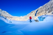 Skier Dog Glacier
