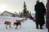 Anna Berington Iditarod 2015