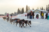 Charley Bejna Iditarod 2015