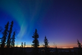 Fairbanks Fading Northern Lights 