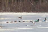 Google Street View Runs the Iditarod