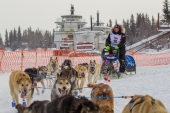 Jason Campeau runs the Iditarod