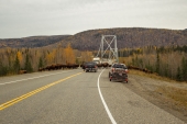 Liard Bison Crossing