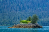 Little Island in Jack Bay