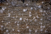 Perfect Little Snowflakes