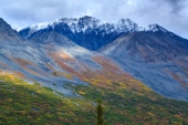 Sun Patches on Chugach Slope