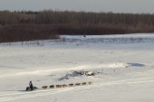 Timothy Hunt 2015 Iditarod