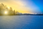 Warm Sunrise on a Cold Field