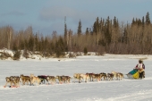 Wilmshurst Iditarod Day 1