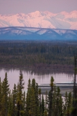 Wrangell Mountains Behind the Chisana