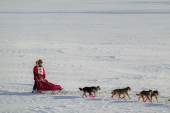Zoya DeNure 2015 Iditarod