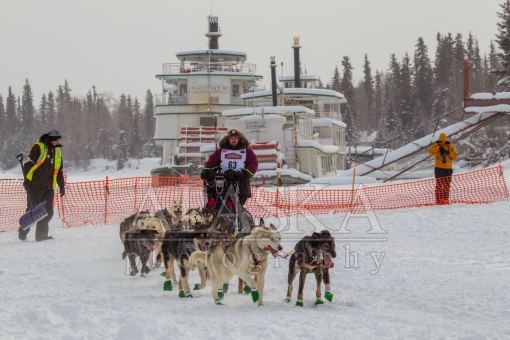 Aaron Burmeister 2015 Iditarod
