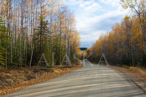 Alaska Backroad