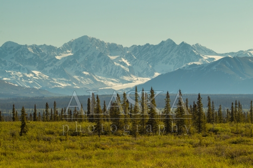 Alaska Range View