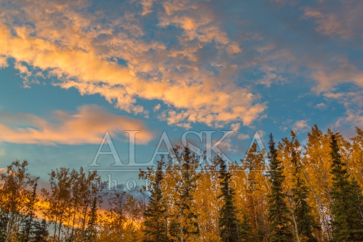 Autumn Evening in Fairbanks