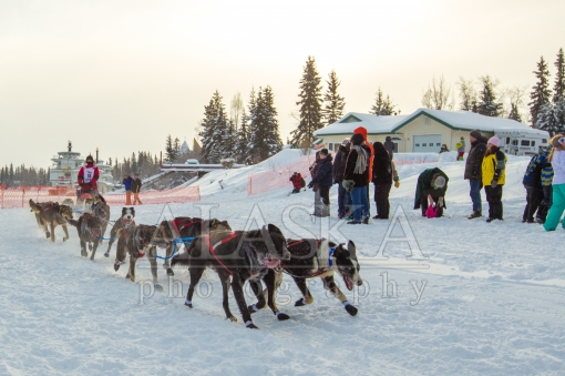 Charley Bejna Iditarod 2015