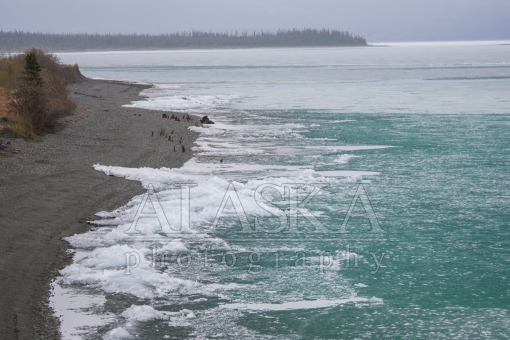 Kluane Icy Shores