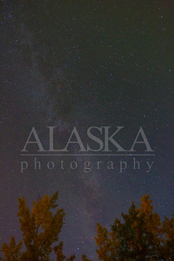 Milky Way Above Aspen