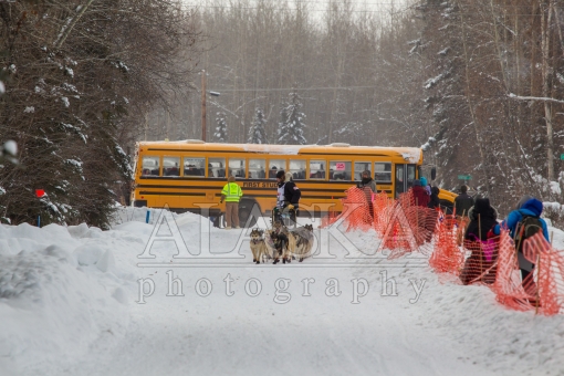 Peter Kaiser Missed the Bus 2015 Iditarod