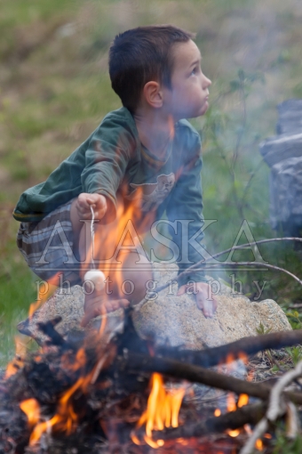 Roasting Marshmellows on a Campfire