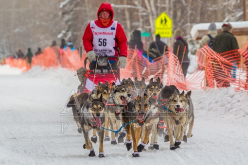 Travis Beals 2015 Iditarod