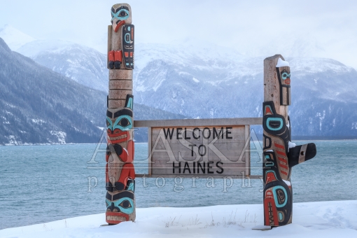 Welcome to Lynn Canal and Haines