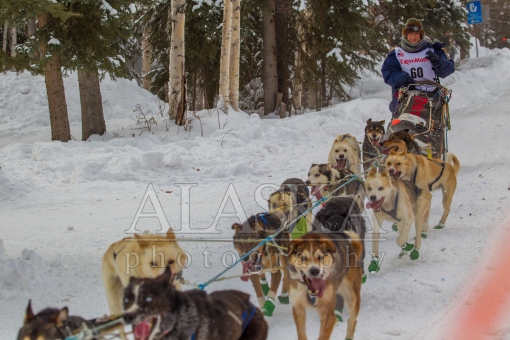 Yuka Honda 2015 Iditarod