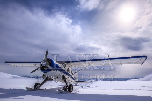 de Havilland Beaver Alaska Ski Plane